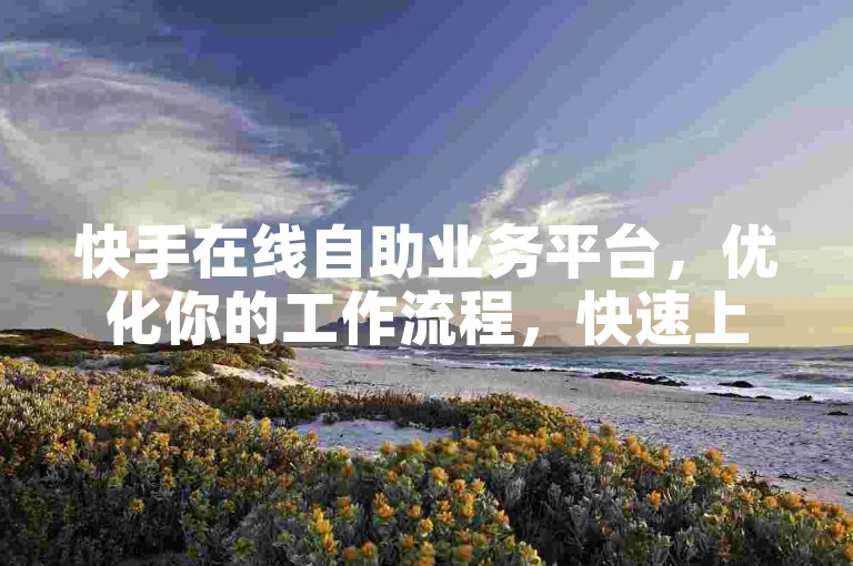 快手在线自助业务平台，优化你的工作流程，快速上手！新手推荐！