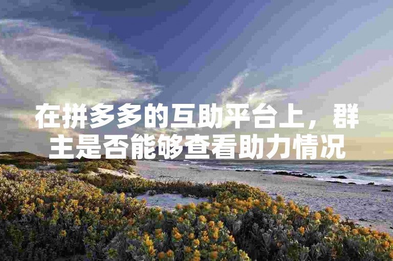 在拼多多的互助平台上，群主是否能够查看助力情况呢？