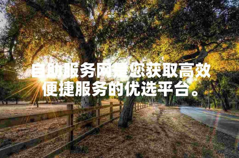 自助服务网是您获取高效便捷服务的优选平台。