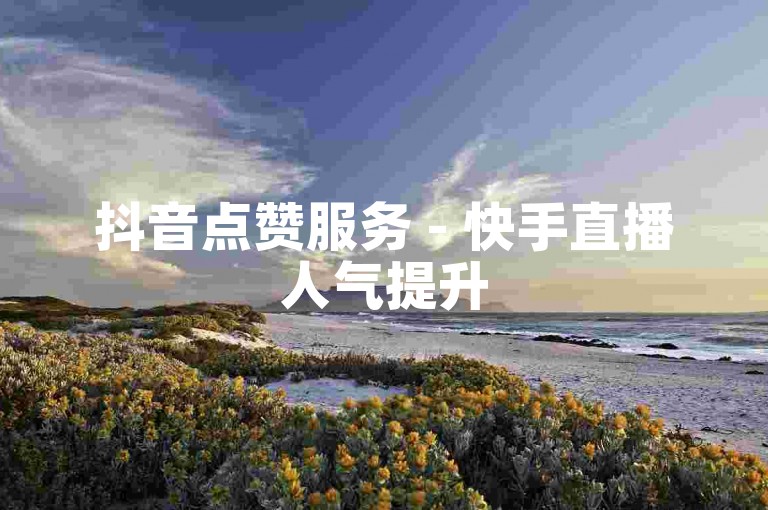 抖音点赞服务 - 快手直播人气提升