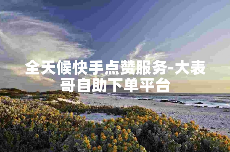 全天候快手点赞服务-大表哥自助下单平台