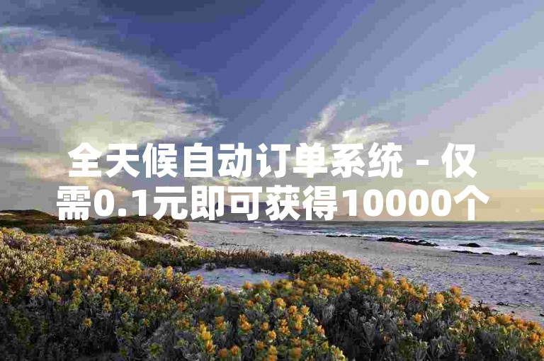 全天候自动订单系统 - 仅需0.1元即可获得10000个点赞。