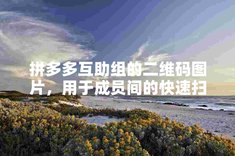 拼多多互助组的二维码图片，用于成员间的快速扫码加入。