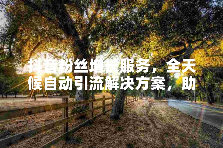 抖音粉丝增长服务，全天候自动引流解决方案，助您快速提升影响力。