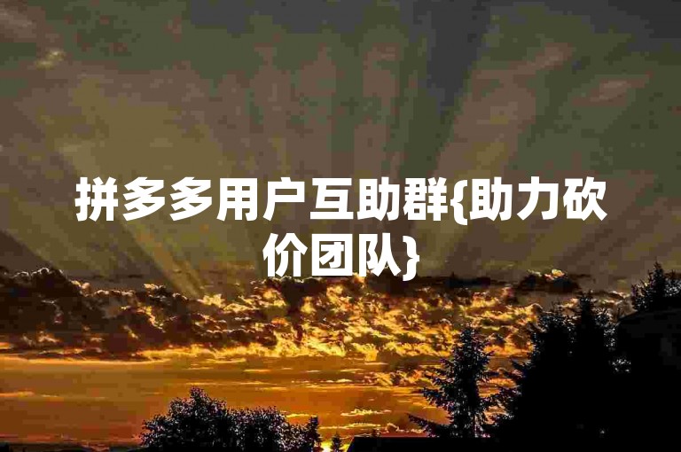 拼多多用户互助群{助力砍价团队}