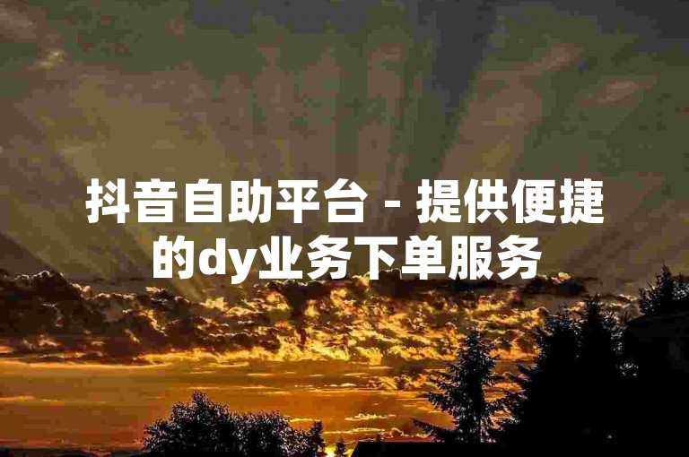 抖音自助平台 - 提供便捷的dy业务下单服务