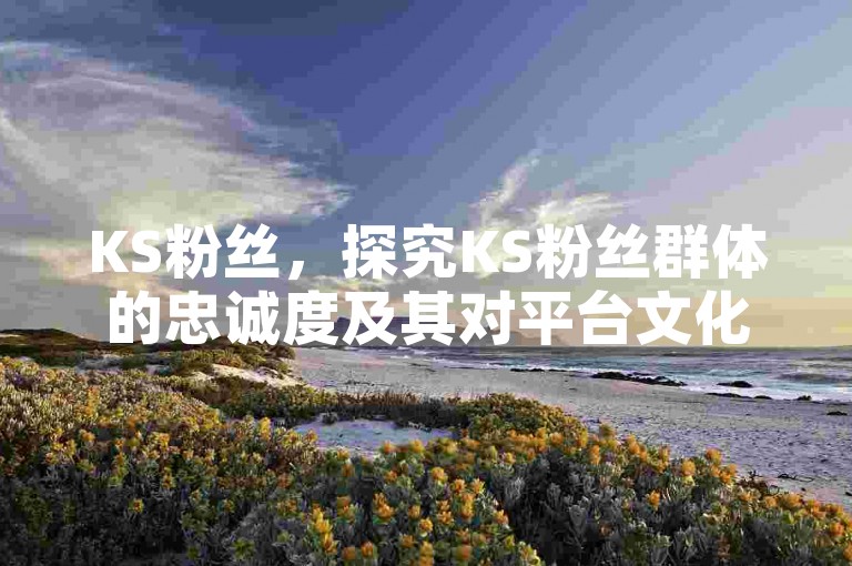 KS粉丝，探究KS粉丝群体的忠诚度及其对平台文化的影响。