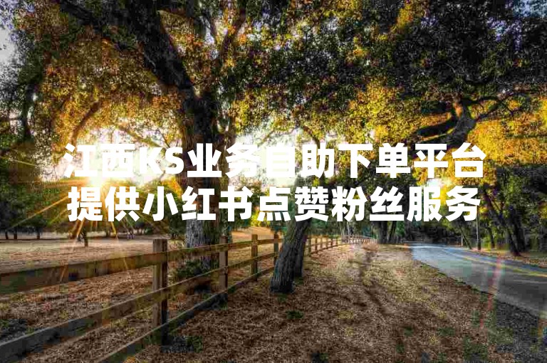 江西KS业务自助下单平台提供小红书点赞粉丝服务，价格实惠。