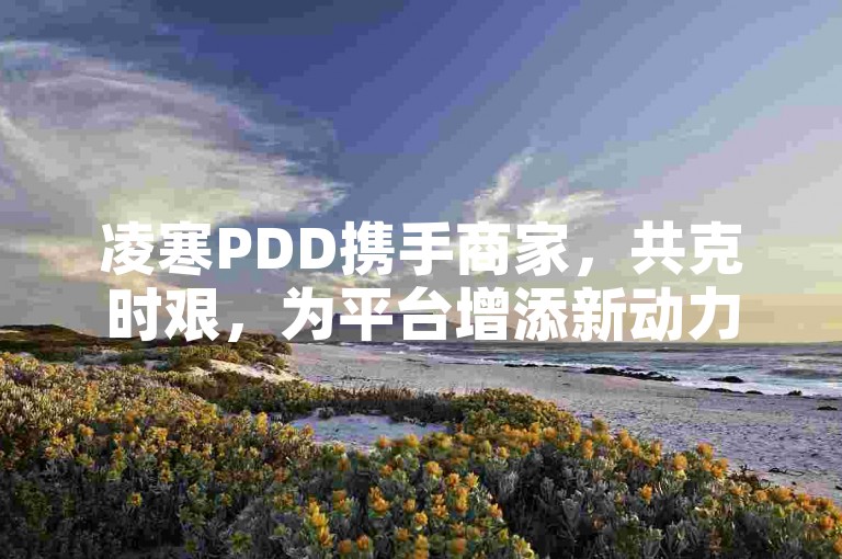 凌寒PDD携手商家，共克时艰，为平台增添新动力。