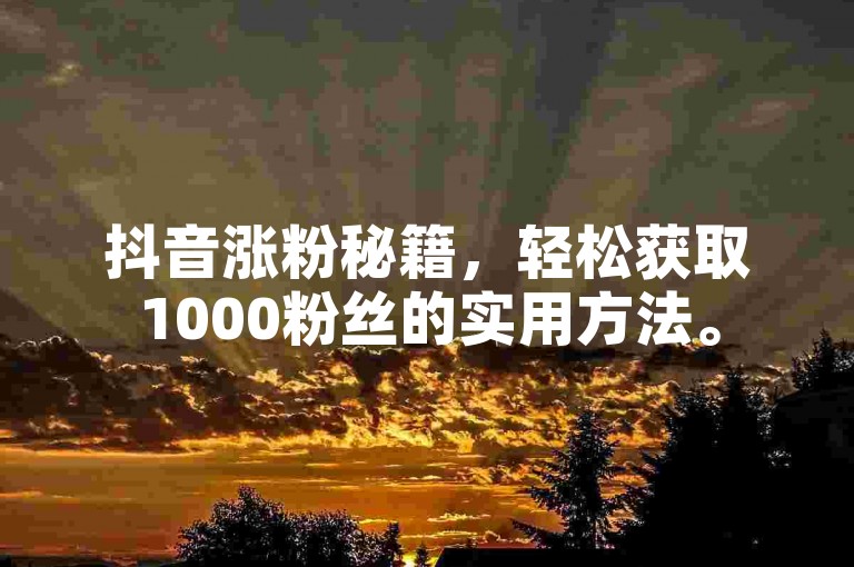 抖音涨粉秘籍，轻松获取1000粉丝的实用方法。