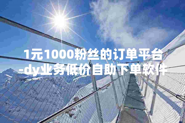 1元1000粉丝的订单平台-dy业务低价自助下单软件