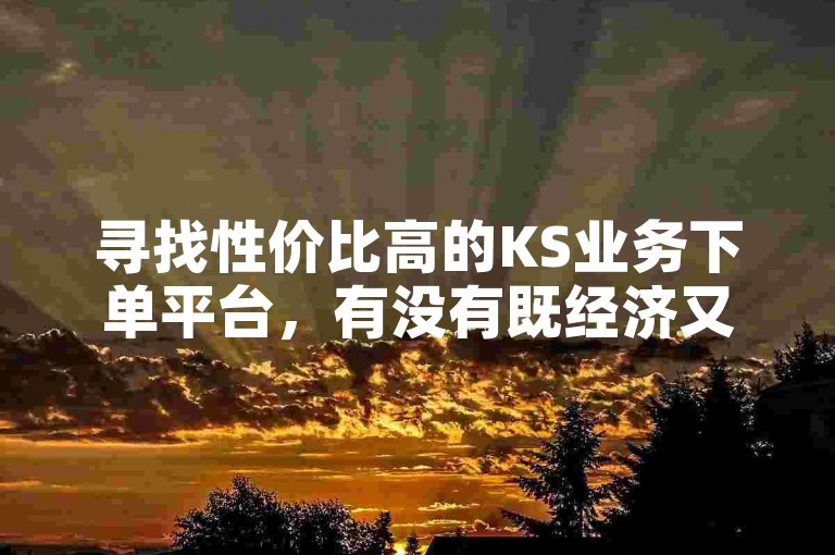 寻找性价比高的KS业务下单平台，有没有既经济又实惠的平台推荐？
