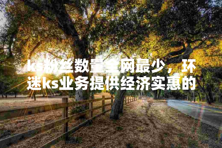 ks粉丝数量全网最少，环迷ks业务提供经济实惠的自助点赞服务。