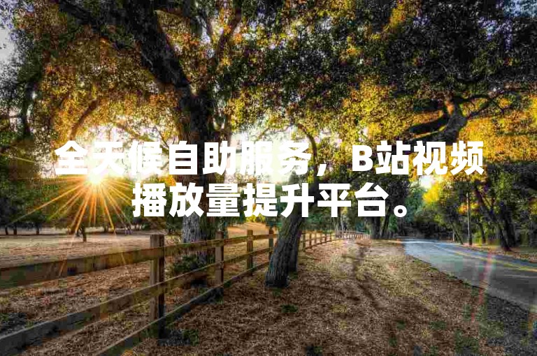 全天候自助服务，B站视频播放量提升平台。