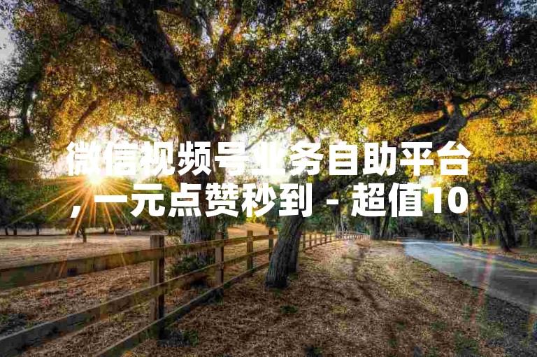 微信视频号业务自助平台, 一元点赞秒到 - 超值10000赞服务 - 解封被屏蔽的抖音快手内容。