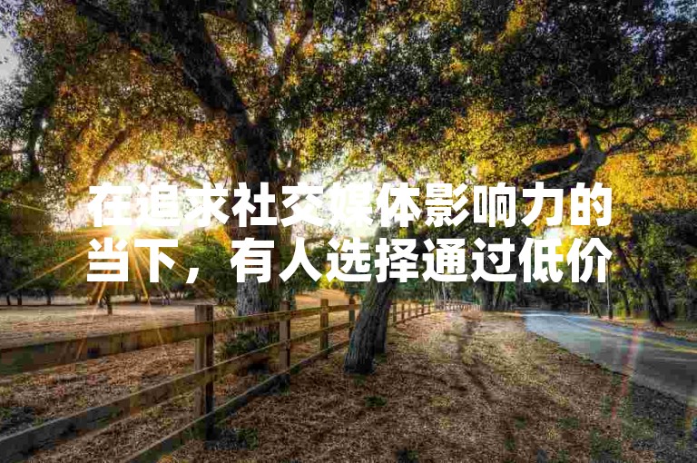 在追求社交媒体影响力的当下，有人选择通过低价播放量和快速增加粉丝的服务来提升自己的网络知名度。