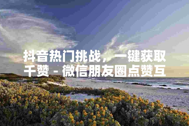 抖音热门挑战，一键获取千赞 - 微信朋友圈点赞互助平台。