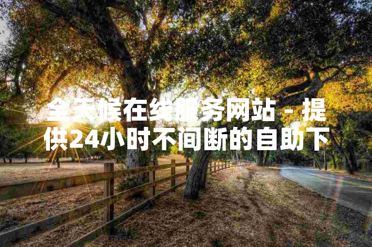 全天候在线服务网站 - 提供24小时不间断的自助下单和低价优惠。