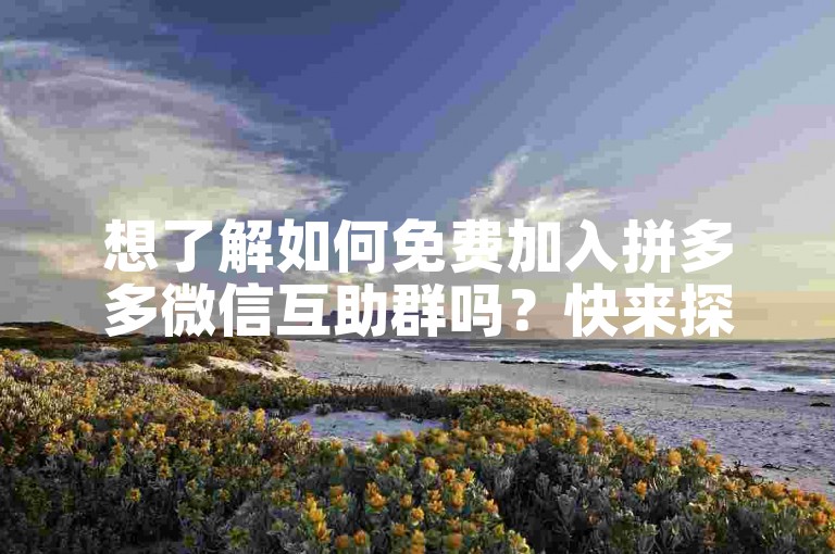 想了解如何免费加入拼多多微信互助群吗？快来探索拼多多的社交电商新玩法吧！