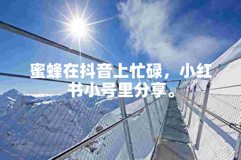 蜜蜂在抖音上忙碌，小红书小号里分享。