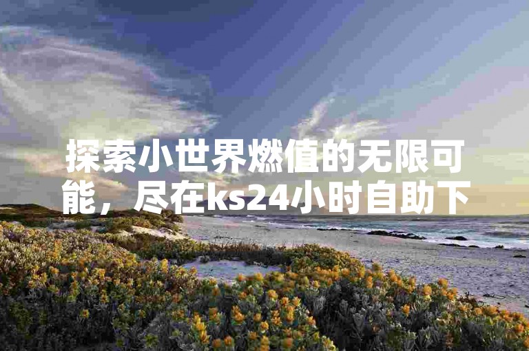 探索小世界燃值的无限可能，尽在ks24小时自助下单商城，轻松购买燃值，畅享便捷服务。