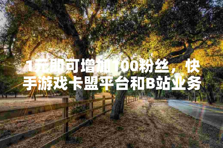 1元即可增加100粉丝，快手游戏卡盟平台和B站业务下单平台等你来体验。