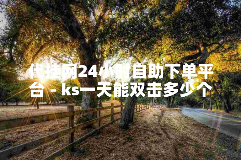 代挂网24小时自助下单平台 - ks一天能双击多少个？