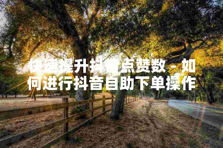 快速提升抖音点赞数 - 如何进行抖音自助下单操作