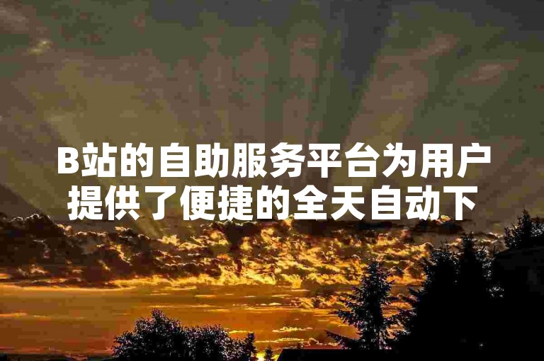 B站的自助服务平台为用户提供了便捷的全天自动下单功能，确保了高效和无缝的业务处理体验。