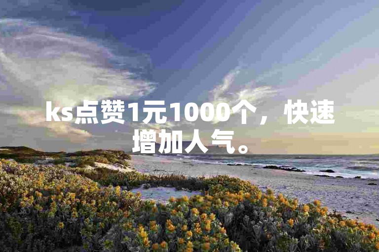 ks点赞1元1000个，快速增加人气。