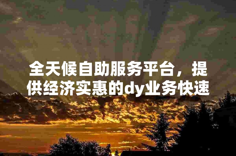 全天候自助服务平台，提供经济实惠的dy业务快速下单体验。