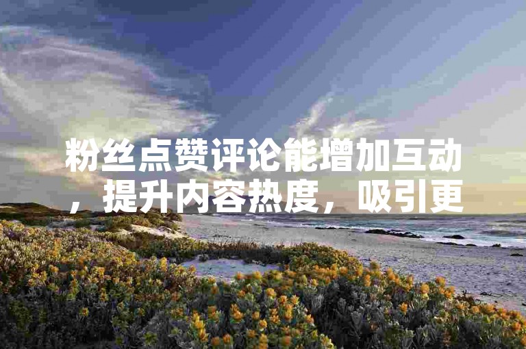 粉丝点赞评论能增加互动，提升内容热度，吸引更多人关注，进而可能带来更多下单机会。