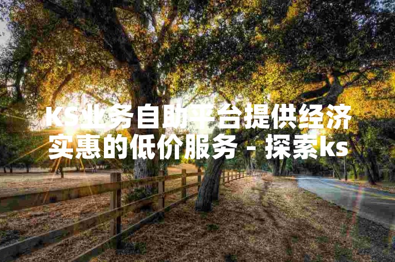 KS业务自助平台提供经济实惠的低价服务 - 探索ks自助下单网站获取超值优惠。
