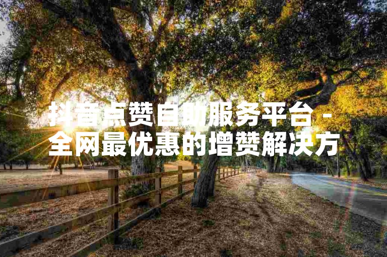 抖音点赞自助服务平台 - 全网最优惠的增赞解决方案软件