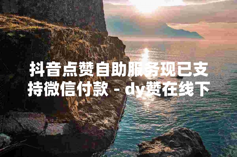 抖音点赞自助服务现已支持微信付款 - dy赞在线下单系统