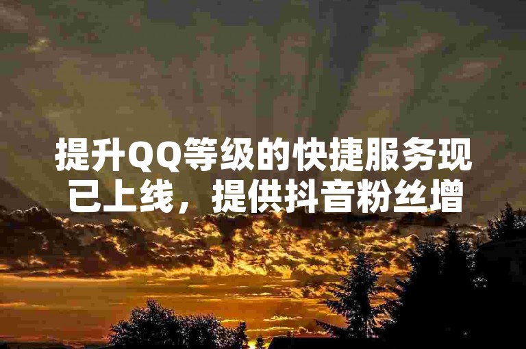 提升QQ等级的快捷服务现已上线，提供抖音粉丝增长的最经济自助方案。