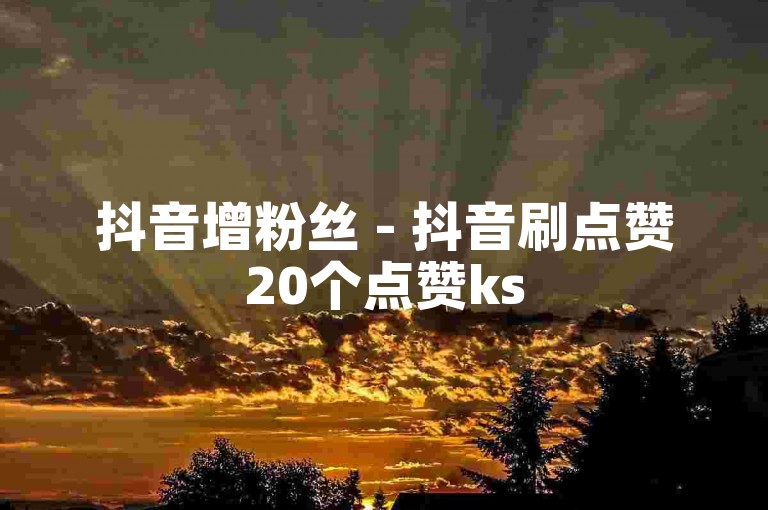 抖音增粉丝 - 抖音刷点赞20个点赞ks