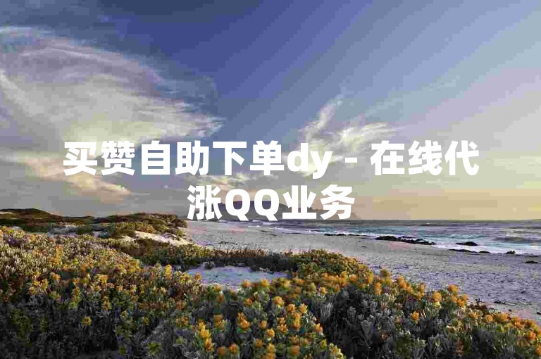 买赞自助下单dy - 在线代涨QQ业务