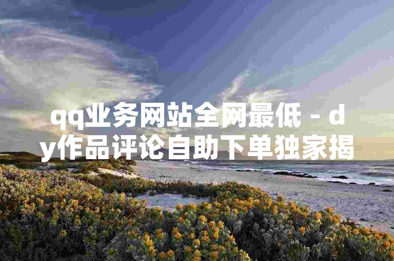 qq业务网站全网最低 - dy作品评论自助下单独家揭秘再战
