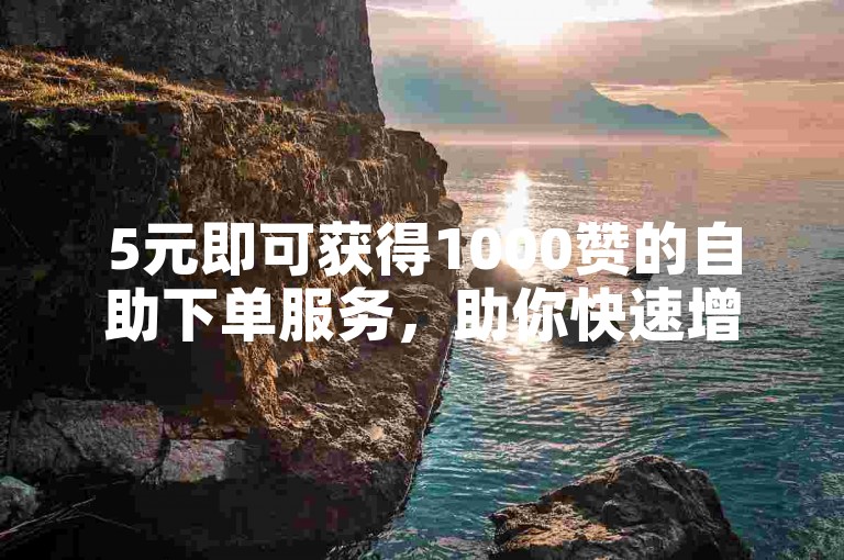 5元即可获得1000赞的自助下单服务，助你快速增加粉丝量。