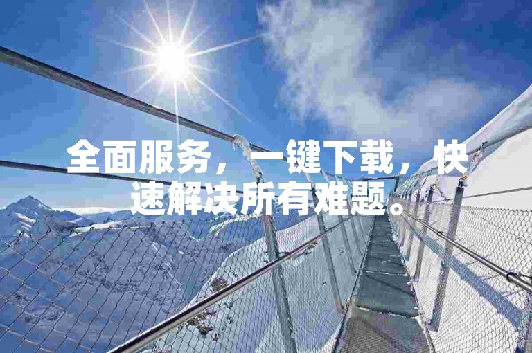 全面服务，一键下载，快速解决所有难题。