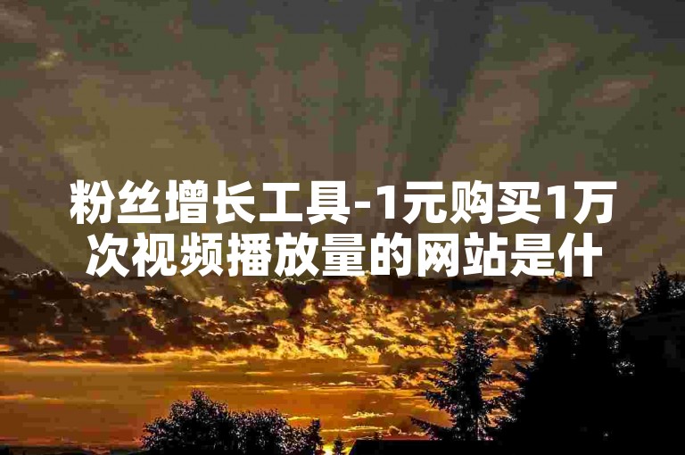 粉丝增长工具-1元购买1万次视频播放量的网站是什么？