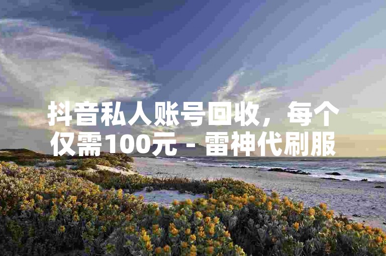 抖音私人账号回收，每个仅需100元 - 雷神代刷服务。
