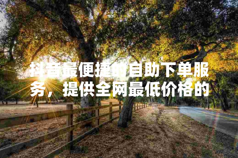抖音最便捷的自助下单服务，提供全网最低价格的优惠 - 探索dy平台的超值体验。