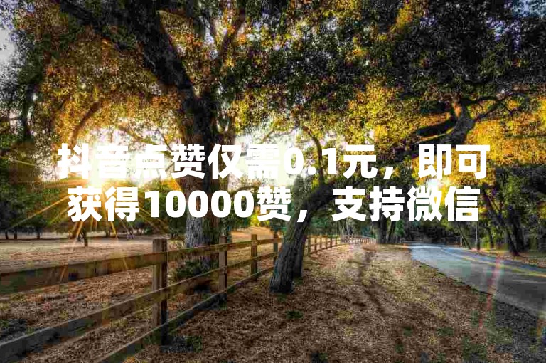 抖音点赞仅需0.1元，即可获得10000赞，支持微信支付，卡密自助商城 - 自助下单小程序 - 哔哩人气值业务自助网站。