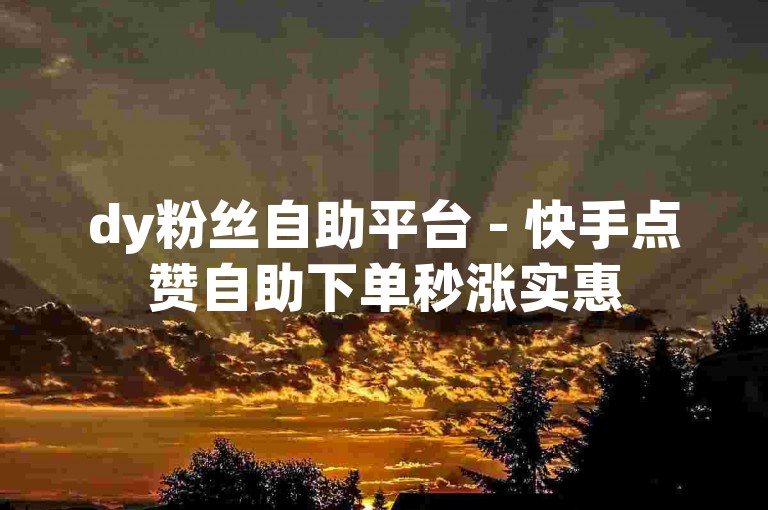 dy粉丝自助平台 - 快手点赞自助下单秒涨实惠