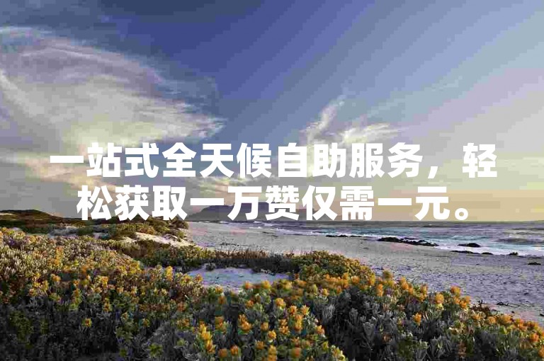 一站式全天候自助服务，轻松获取一万赞仅需一元。