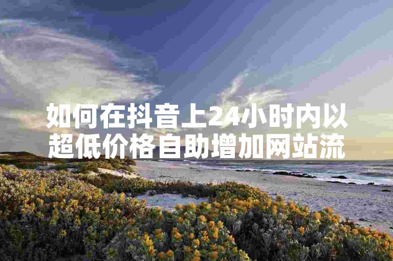 如何在抖音上24小时内以超低价格自助增加网站流量？