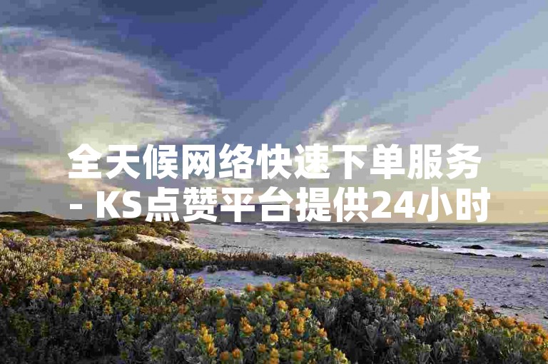 全天候网络快速下单服务 - KS点赞平台提供24小时自助免费业务。
