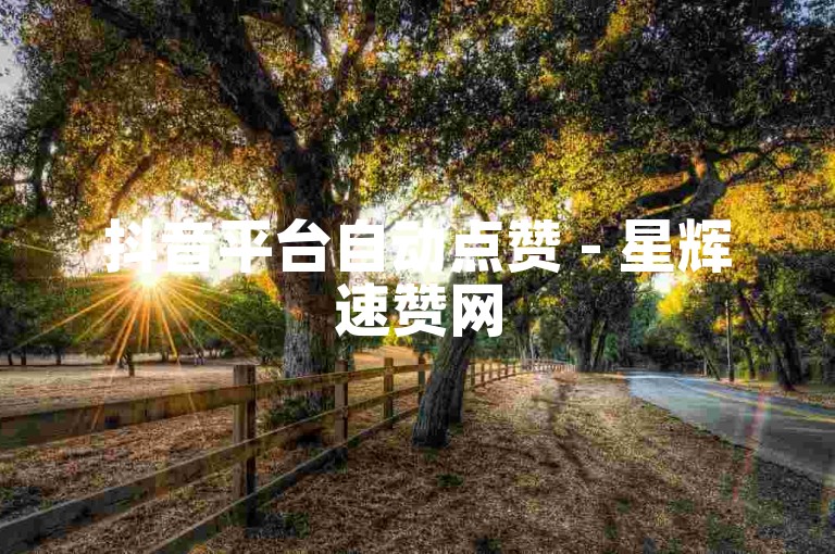 抖音平台自动点赞 - 星辉速赞网